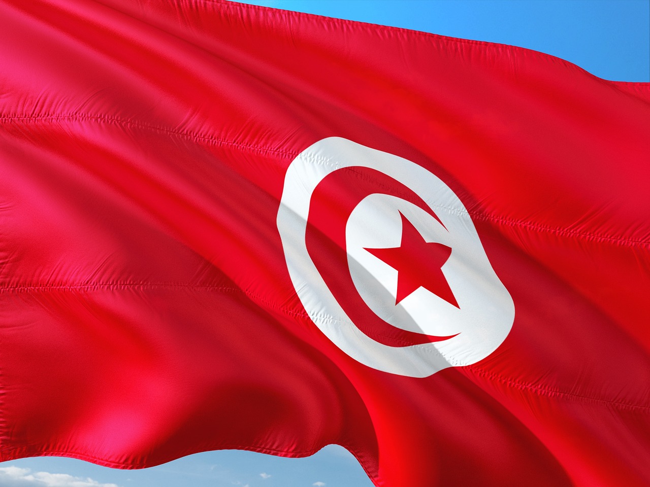 découvrez l'éco-entrepreneuriat en tunisie : innover durablement pour un avenir respectueux de l'environnement et créer des opportunités économiques responsables.