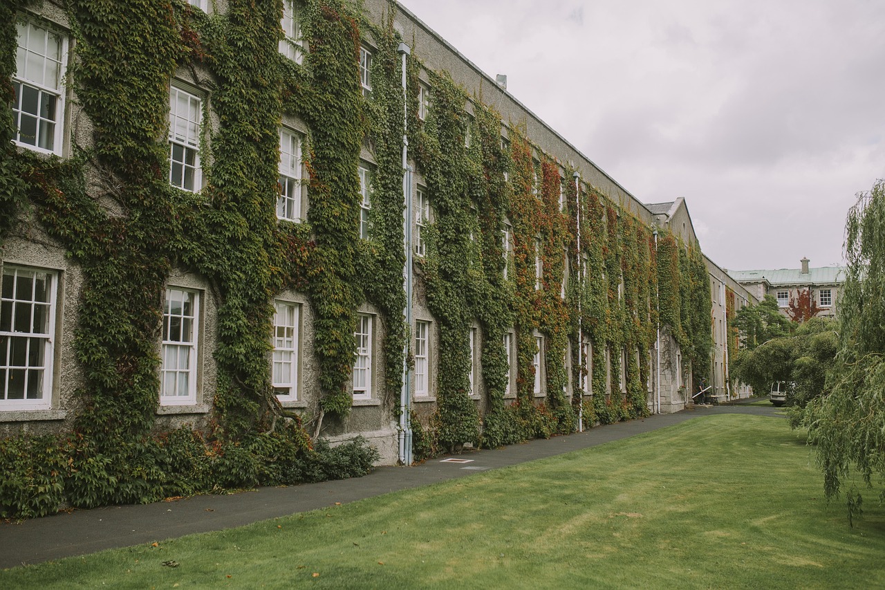 découvrez tech global university, une institution d'excellence offrant des formations innovantes en technologie et sciences à l'échelle mondiale.