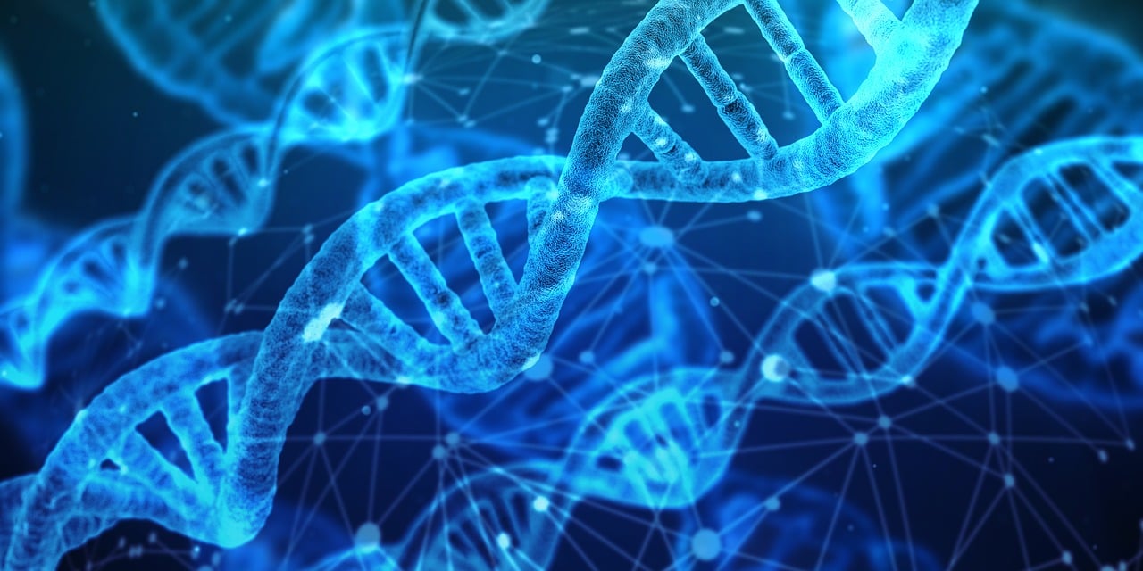 découvrez les dernières avancées et tendances en matière d'innovation, propulsant le futur des technologies, entreprises et sociétés.
