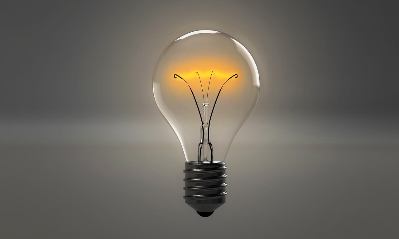 Université de Corse : le Challenge Innovation, catalyseur de l’esprit d’entreprendre chez les étudiants
