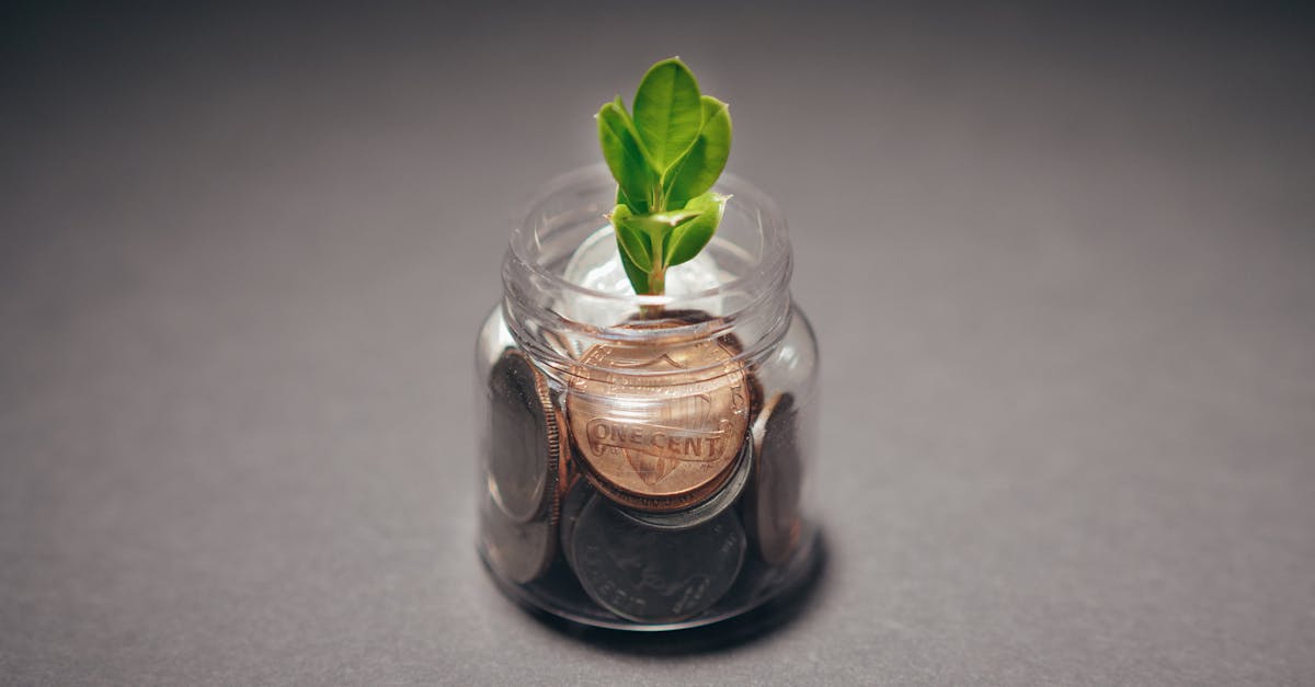 Investissement durable : Comment choisir des placements éthiques et rentables