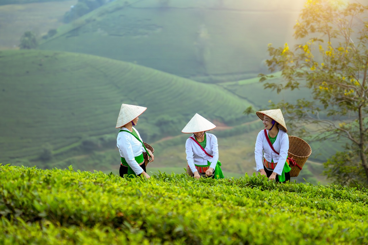 Plan d’action audacieux pour les femmes dans le monde entrepreneurial