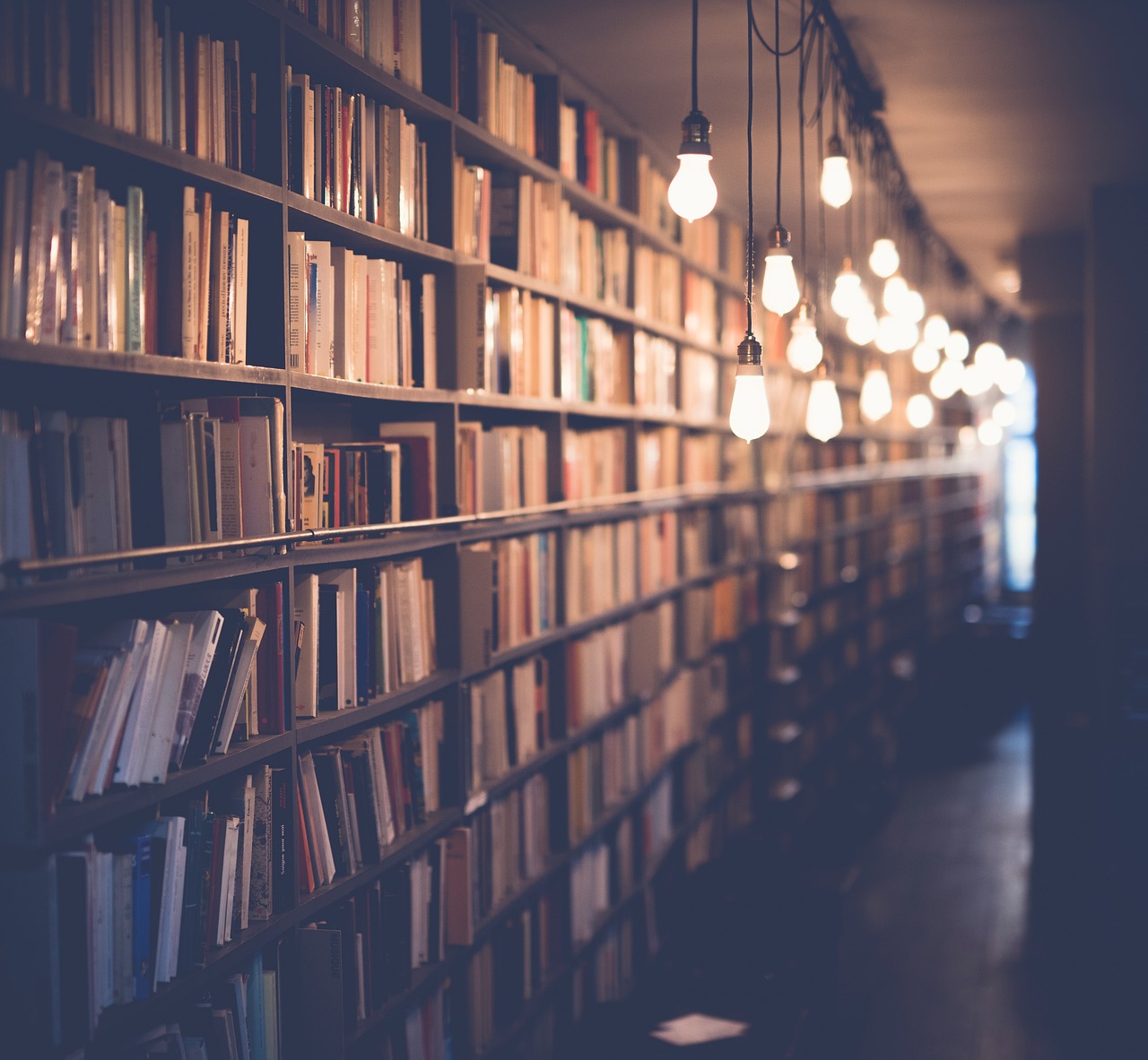 L’éducation à l’entrepreneuriat : Apprendre des modèles entrepreneuriaux efficaces dans les établissements d’enseignement supérieur