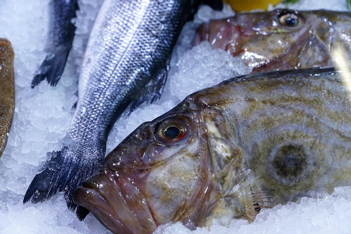 poisson